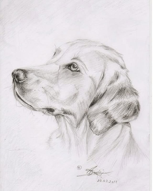 The Gentle Hound
