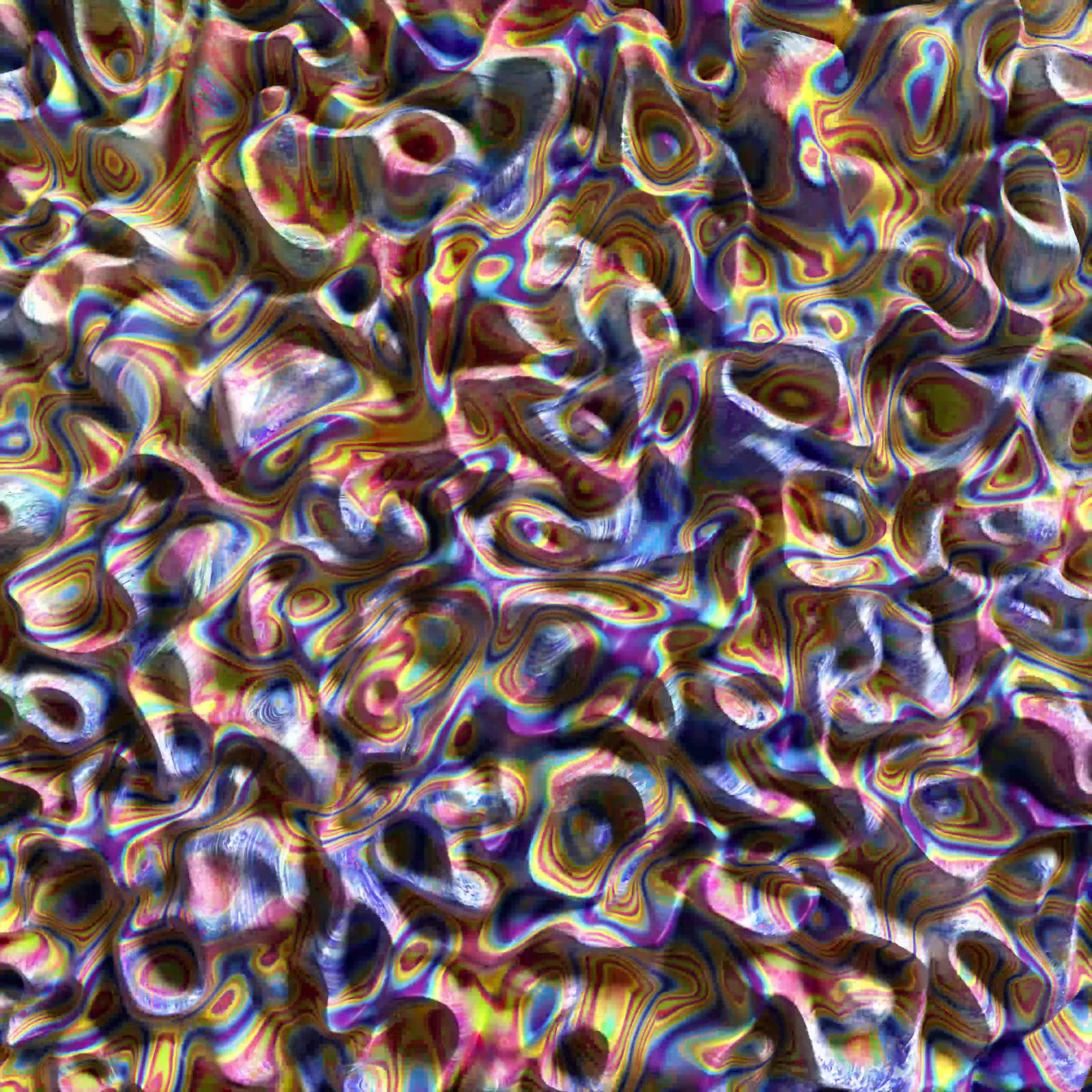 Vivacity Colors 2