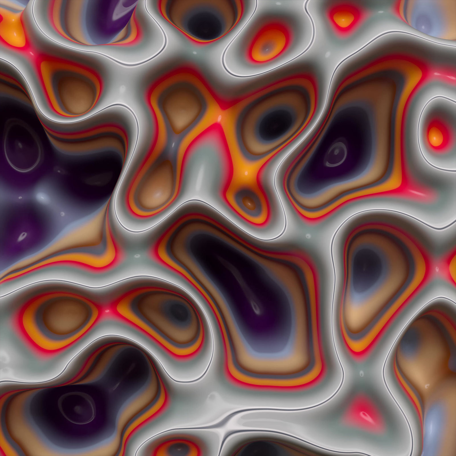 Vivacity Colors 10