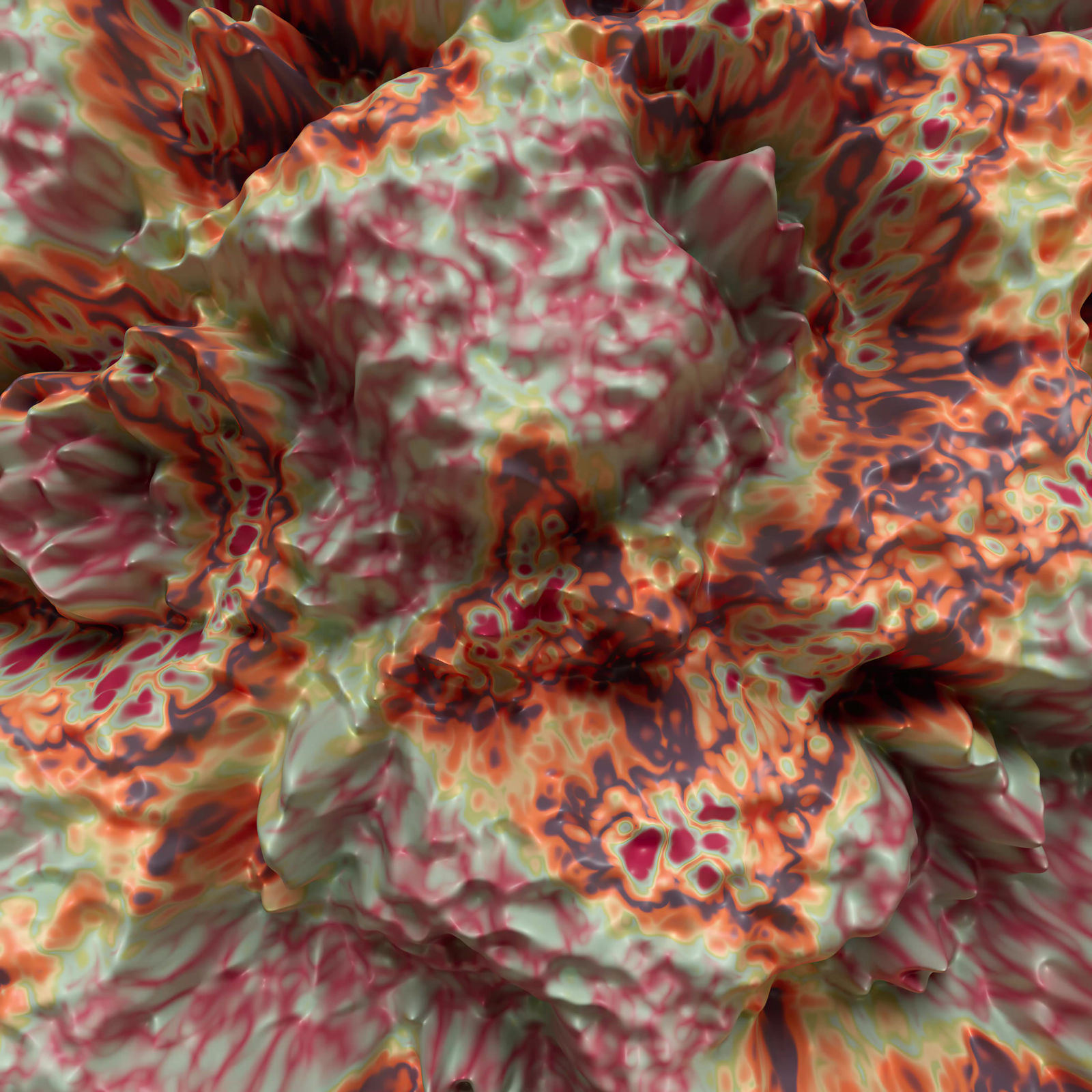 Vivacity Colors 18