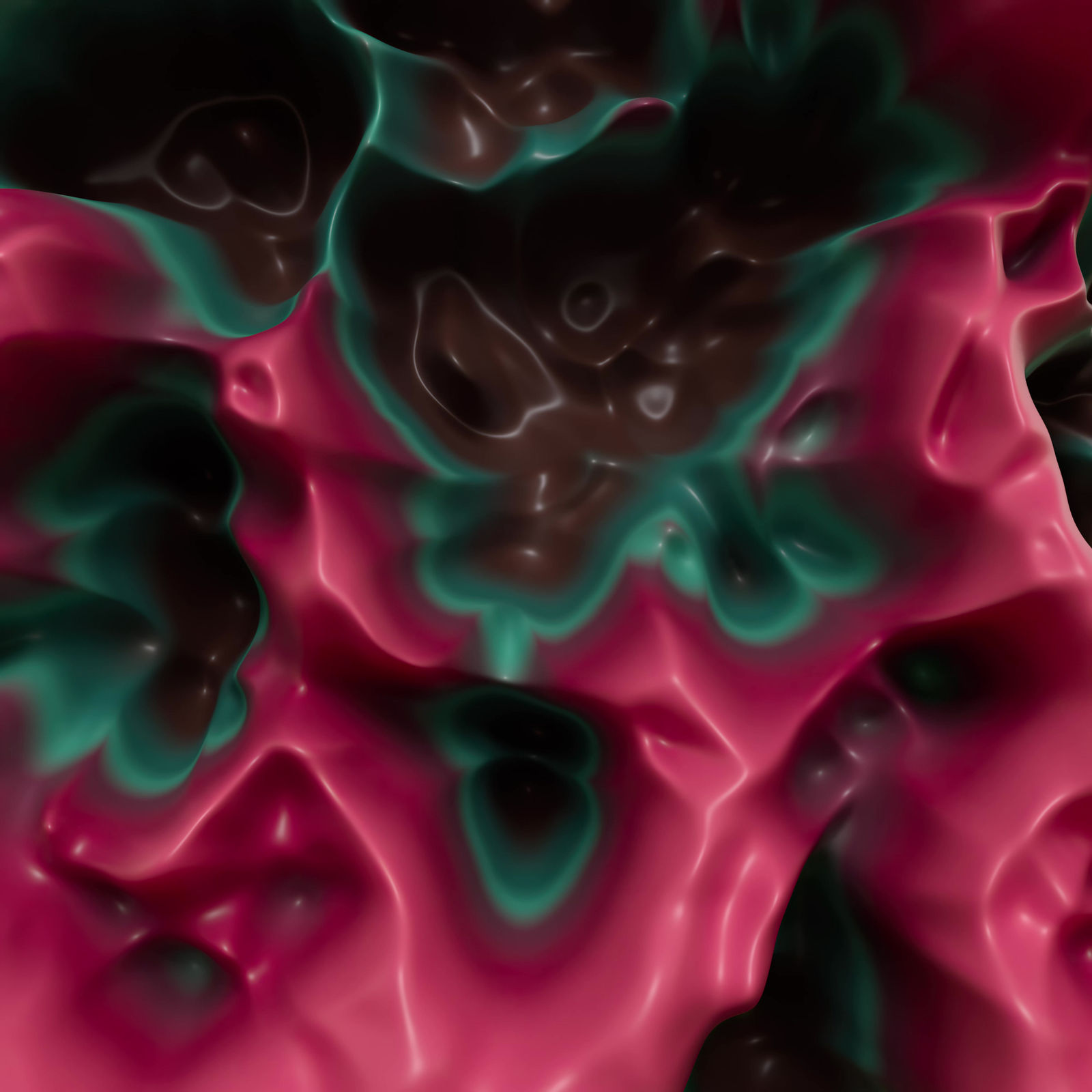 Vivacity Colors 19